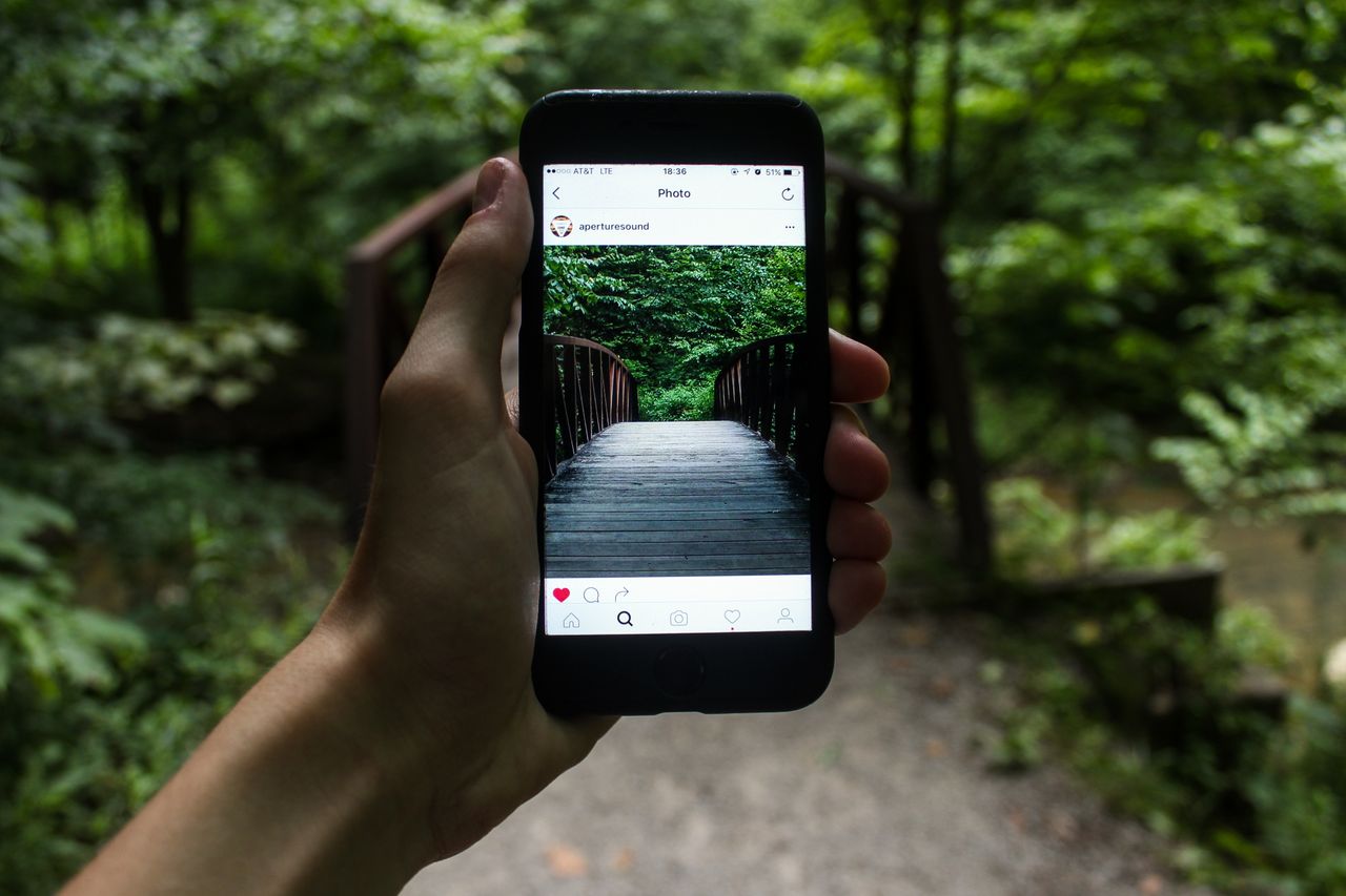 The Art of Drawing Readers In: Your attractive post title goes here A hand holds a smartphone capturing a forest bridge in a natural setting.